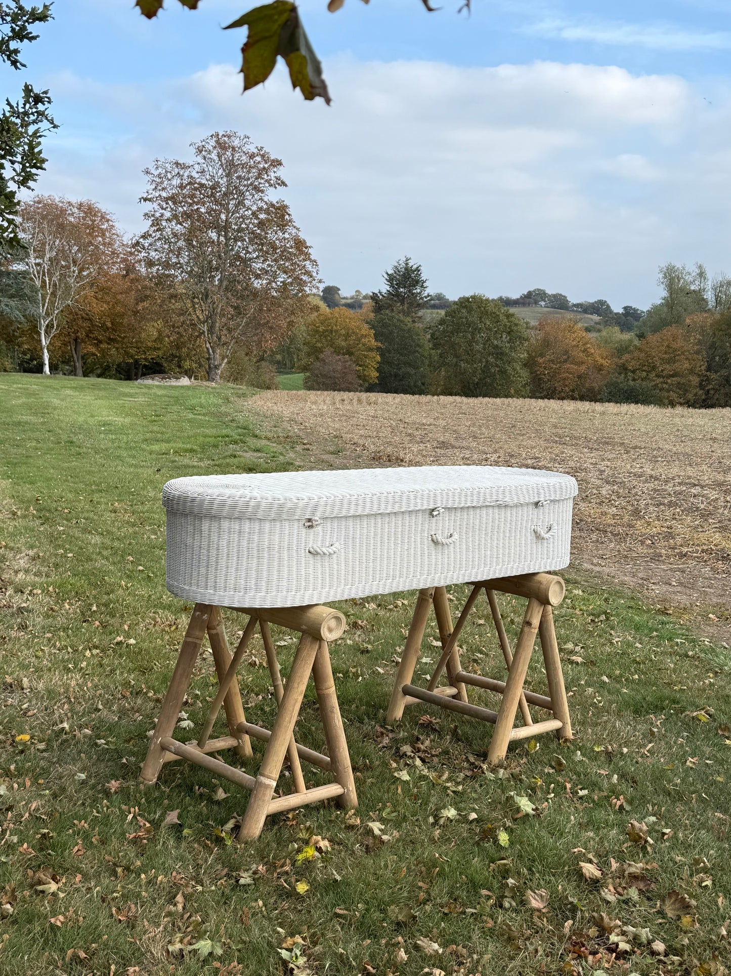 Natural Wicker Eco Coffin – Medium