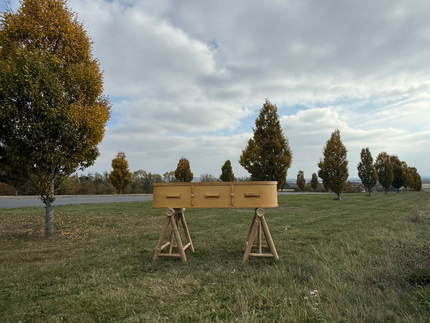 Natural Wooden Eco Coffin – Medium